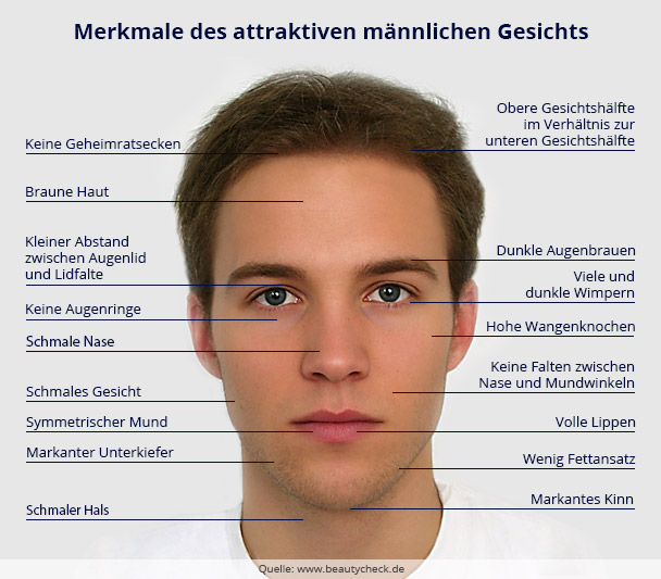 Merkmaldes attraktiven männlichen Gesichts