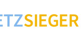 Netzsieger Logo