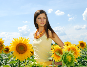 Single-Frau läuft durch Sonnenblumenfeld