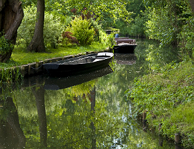 Singles in Brandenburg können nicht nur schöne Radwege in der Natur genießen, sondern auch Urlaubsfeeling im „Tropical Island“   oder Kultur in Potsdam. Begeben Sie sich also auf Entdeckungsreise!