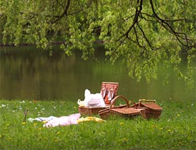 Ein Picknick im Park für Singles in Hamburg